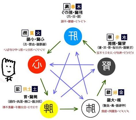 腎 五行